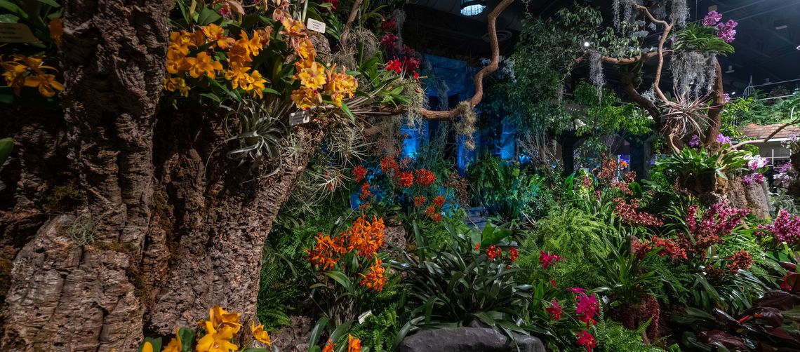 Lush floral display with vibrant orchids, greenery, and tree installations at the 2026 Philadelphia Flower and Garden Show