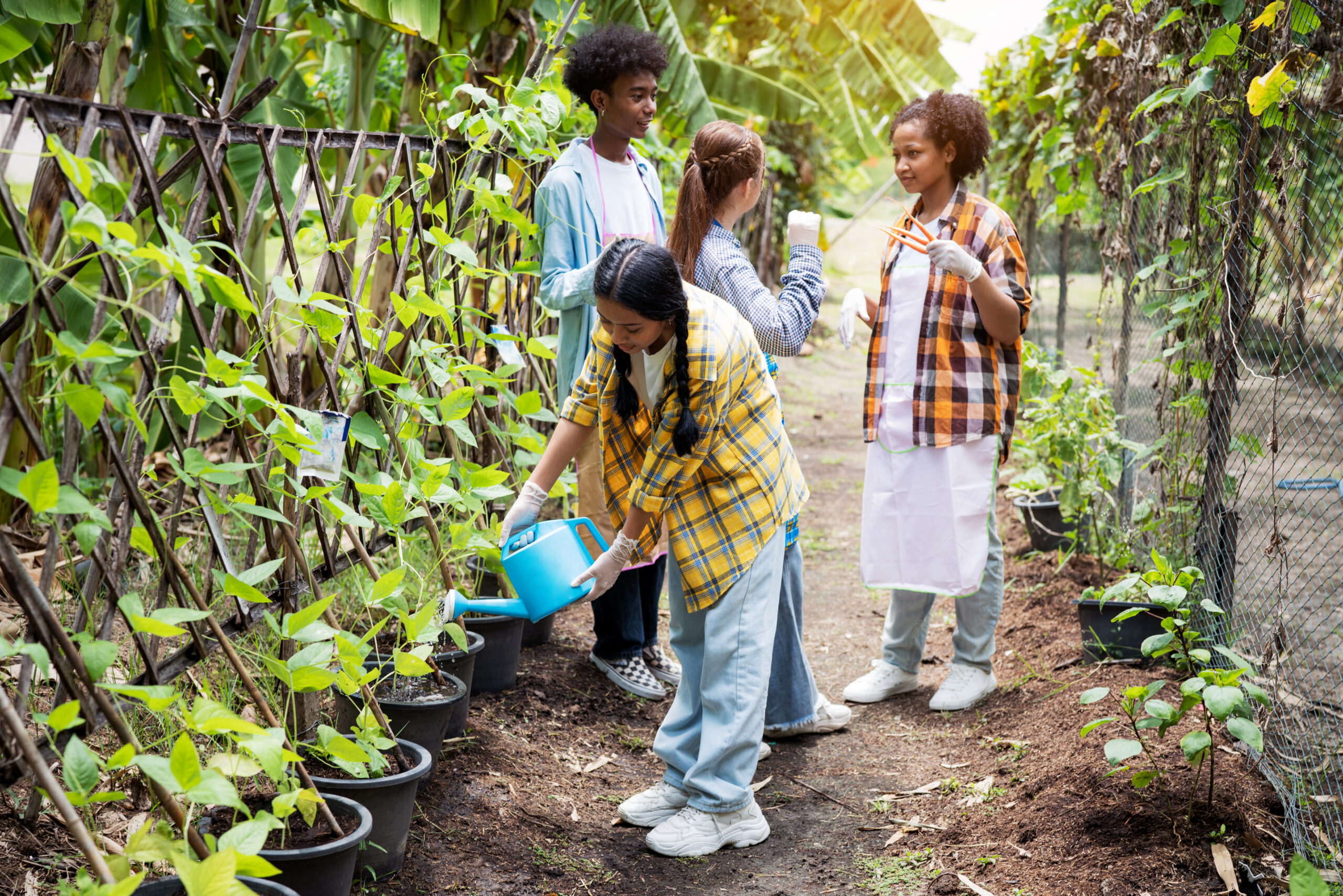 Pre-teens participating in their school garden programs